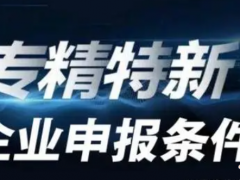 2023年專精特新申報條件
