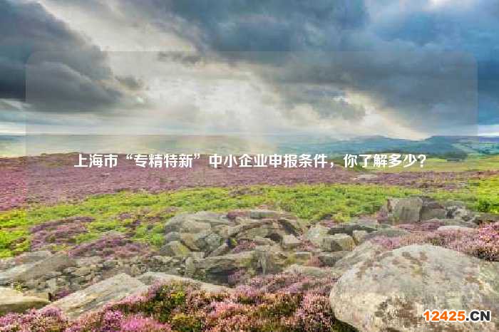 上海市“專精特新”中小企業申報條件，你了解多少？-圖1
