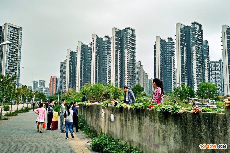 2023年深圳南山區特新企業意見稿,,,,