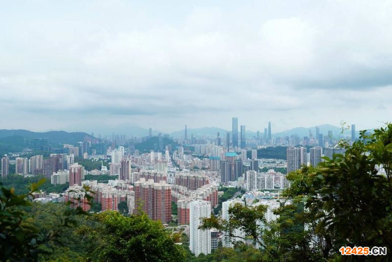 2023年深圳三批特新企業(yè)總數(shù)