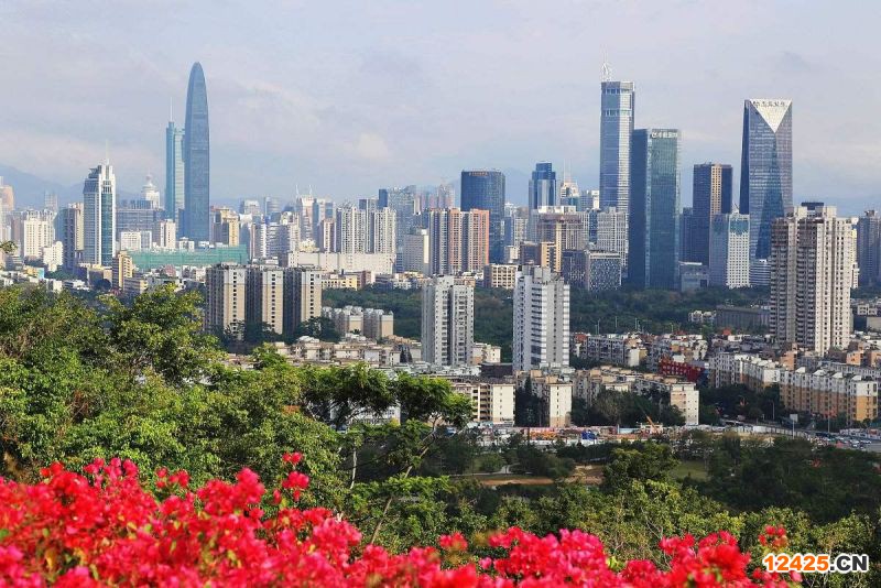 2023年深圳小巨人企業申報,,,,