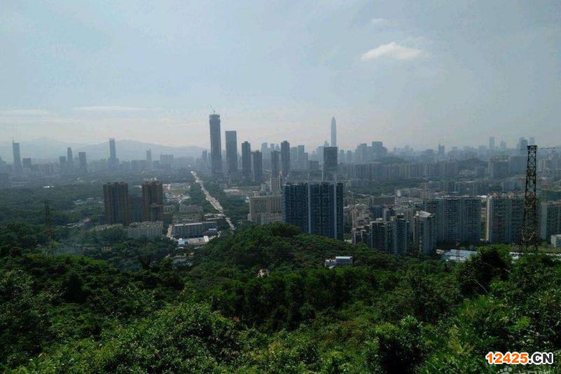 2023年深圳特新小巨人企業多少