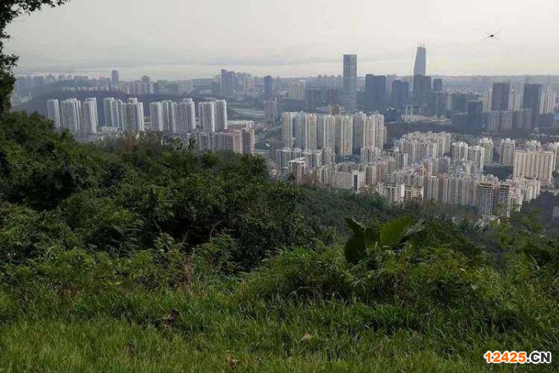 2023年深圳記首批特新小巨人企業