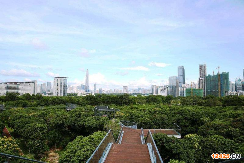 2023年深圳首批特新小巨人企業(yè)