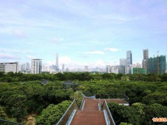 2023年深圳工業(yè)小升規(guī)政策措施