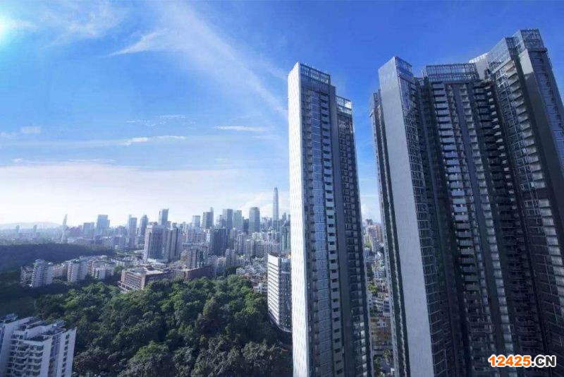 2023年深圳特新小巨人企業等