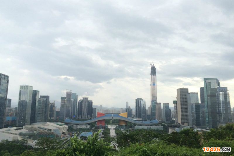 2023年深圳特新小巨人企業(yè)怎么查