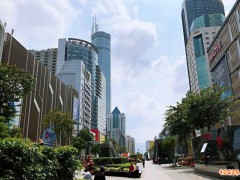 2023年深圳小巨人企業與特新