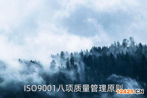 ISO9001八項質量管理原則