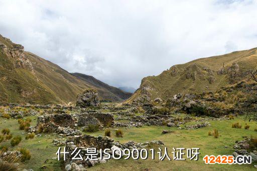 什么是ISO9001認證呀