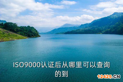 ISO9000認證后從哪里可以查詢的到