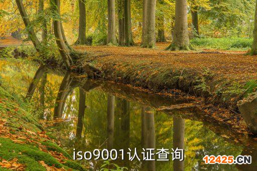 iso9001認證查詢
