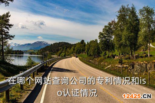 在哪個網站查詢公司的專利情況和iso認證情況