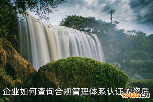 企業如何查詢合規管理體系認證的資質