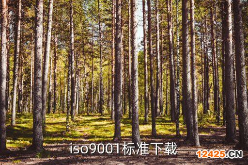 iso9001標準下載