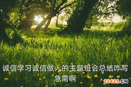 誠信學習誠信做人的主題班會總結咋寫急需啊