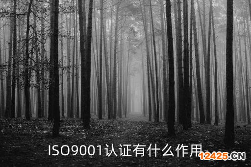 ISO9001認證有什么作用