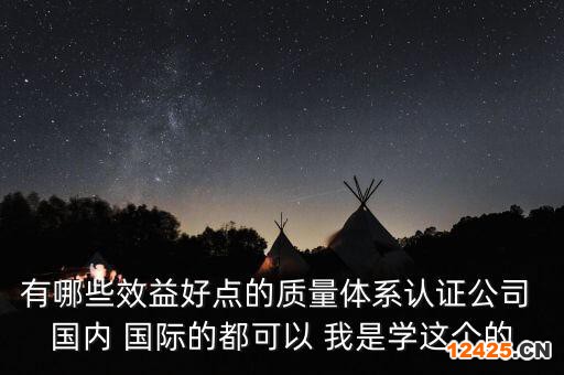 有哪些效益好點的質量體系認證公司 國內 國際的都可以 我是學這個的