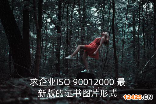 求企業ISO 90012000 最新版的證書圖片形式