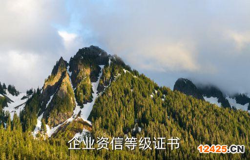 企業資信等級證書