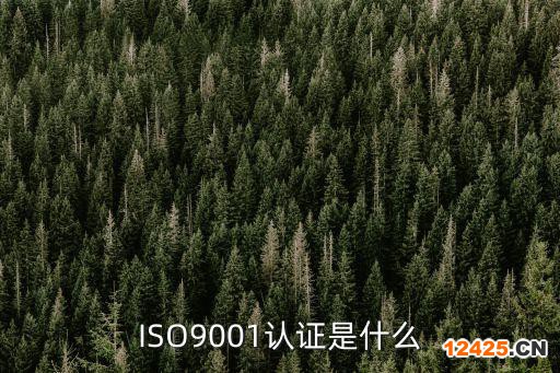 ISO9001認證是什么