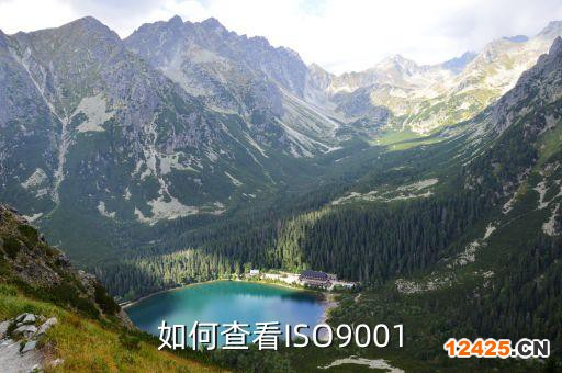 如何查看ISO9001