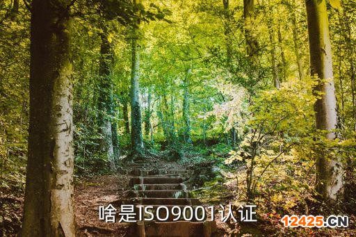 啥是ISO9001認證