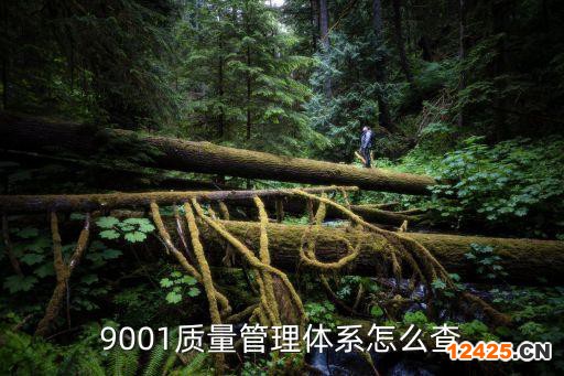 9001質量管理體系怎么查