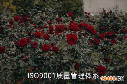 ISO9001質(zhì)量管理體系