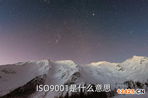 ISO9001是什么意思