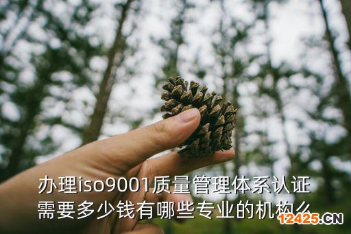 辦理iso9001質量管理體系認證需要多少錢有哪些專業的機構么