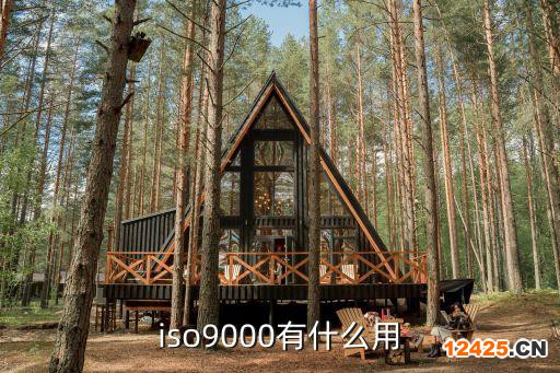 iso9000有什么用