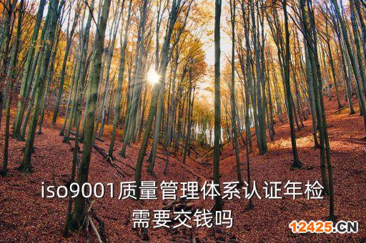 iso9001質量管理體系認證年檢需要交錢嗎