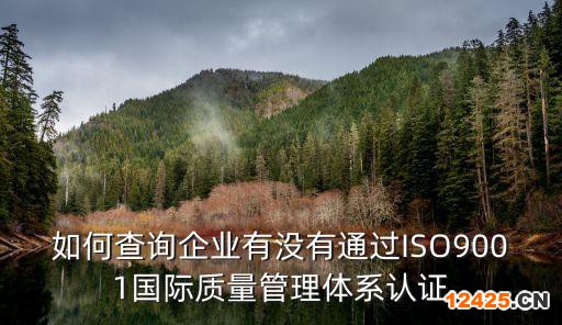 如何查詢企業有沒有通過ISO9001國際質量管理體系認證