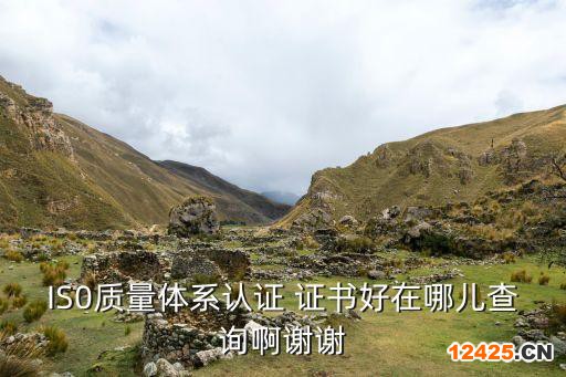 IS0質量體系認證 證書好在哪兒查詢啊謝謝