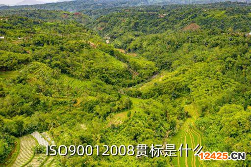 ISO90012008貫標是什么