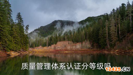 質量管理體系認證分等級嗎