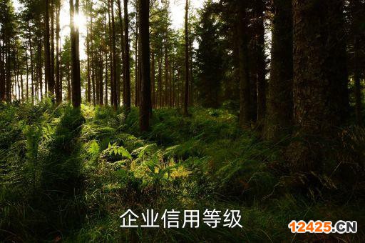 企業信用等級