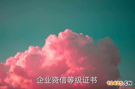 企業資信等級證書