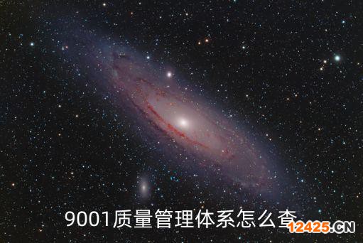9001質量管理體系怎么查