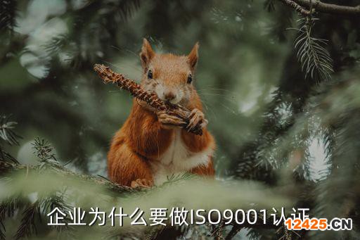 企業為什么要做ISO9001認證