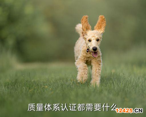 質(zhì)量體系認(rèn)證都需要什么
