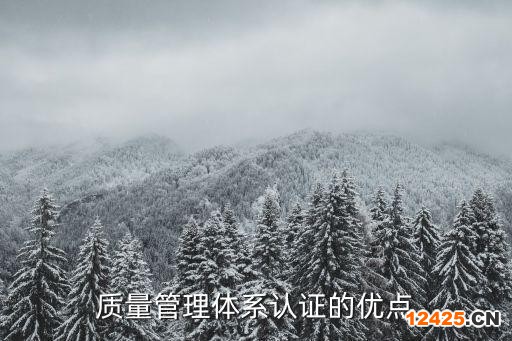 質量管理體系認證的優點