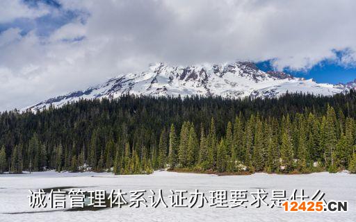 誠(chéng)信管理體系認(rèn)證辦理要求是什么
