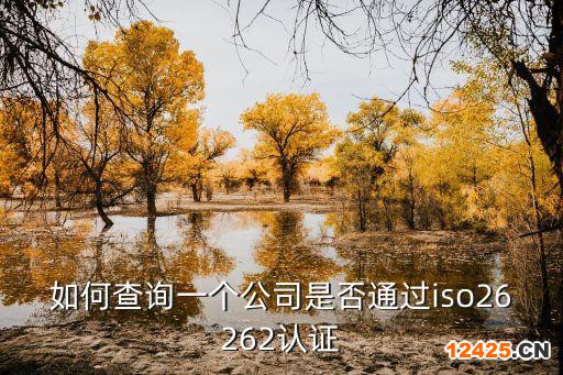 如何查詢一個公司是否通過iso26262認(rèn)證