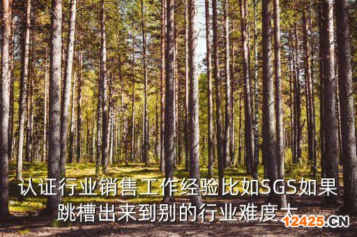 認證行業銷售工作經驗比如SGS如果跳槽出來到別的行業難度大
