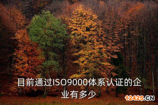 目前通過ISO9000體系認證的企業有多少