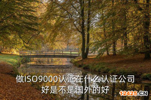 做ISO9000認證在什么認證公司好是不是國外的好