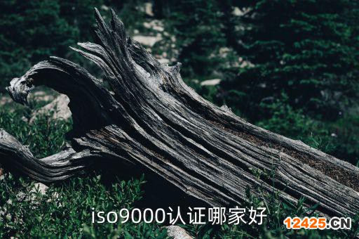 iso9000認證哪家好