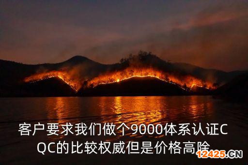 客戶要求我們做個9000體系認證CQC的比較權(quán)威但是價格高除